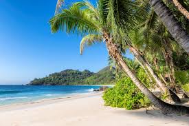 Beautiful beach in Jamaica